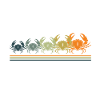 Crab Crabs