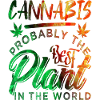 Cannabis Hemp Hashish Stoner