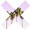 X Palm