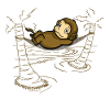 Monkey in hammock