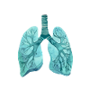 Lung medics