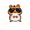 Cool hamster