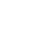 Burpee / Burpee