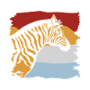 zebra