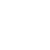 Euphonium development