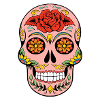 Mexican skull