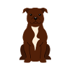 Staffordshire Bull Terrier
