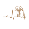 Fossil Pulse Heart