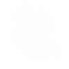 Fossil Age