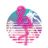 Flamingo Miami
