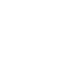 Handball Coach