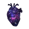 Heart universe