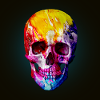 Totenkopf, bunt, skull