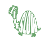Tortue