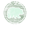 Brown Bear Canada