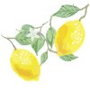 Lemons
