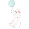 Hase