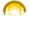 Bär im Wald
