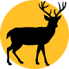 Deer with moon and sunset