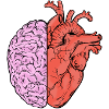 Heart And Brain