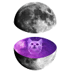 Galaxy Moon Cat