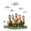 nicht vegan