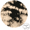 Voler à la lune