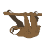 sloth