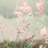 Nature d'aquarelle Prairie d'été