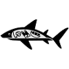 Shark mangé plongeur