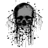 Skull with blots