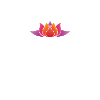 Meditation Lotusblüte