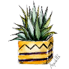 Cactus 2.0