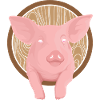 Pig farm piggy pigsty