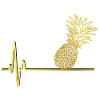 Pineapple Squad Party Rap