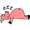 Sleeping Pig