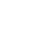 Bern - Bears