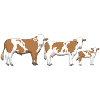 cowfamily 2