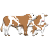 cowfamily 1