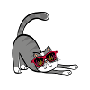 cool cat