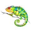 MIKO Chameleon