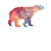 Bear Constellation