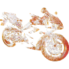 Feu de moto