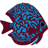 discus fish vektor
