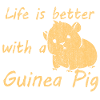 Guinea pig