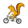 Squirrel Bicycle Chipmunk Rodent
