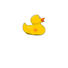 I like to duck