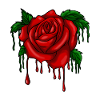 Melting red rose gift