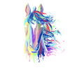 Splash horse gift equestrian riding stallion