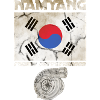 Namyang Turbo dirty